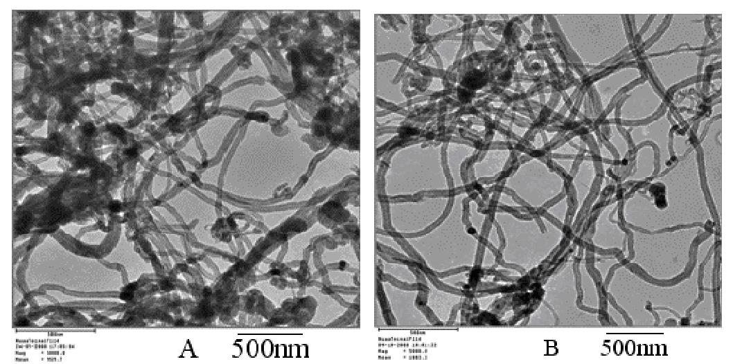 碳納米管 TEM 圖像（ A ）原始 MWCNT ；（ B ）等離子體處理 MWCNTs