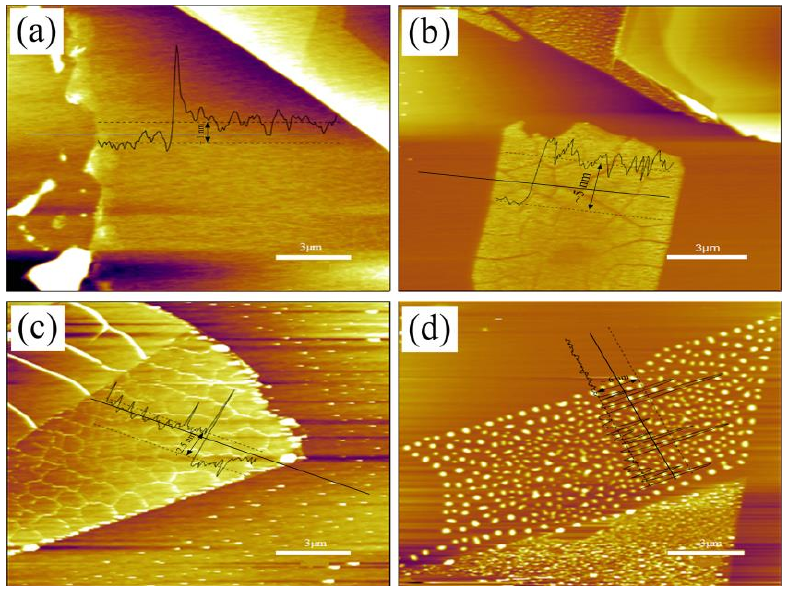 圖 3.5 低溫氧等離子體處理后單層 M o S 2 薄膜形貌圖。（a）樣品 1 # 的厚度~ 1 nm；（ b）樣品 2 # 的厚度~ 5 nm；（ c）樣品 3 # 的厚度~ 3.5 nm；（ d）樣品 4 # 的厚度~ 6 nm。